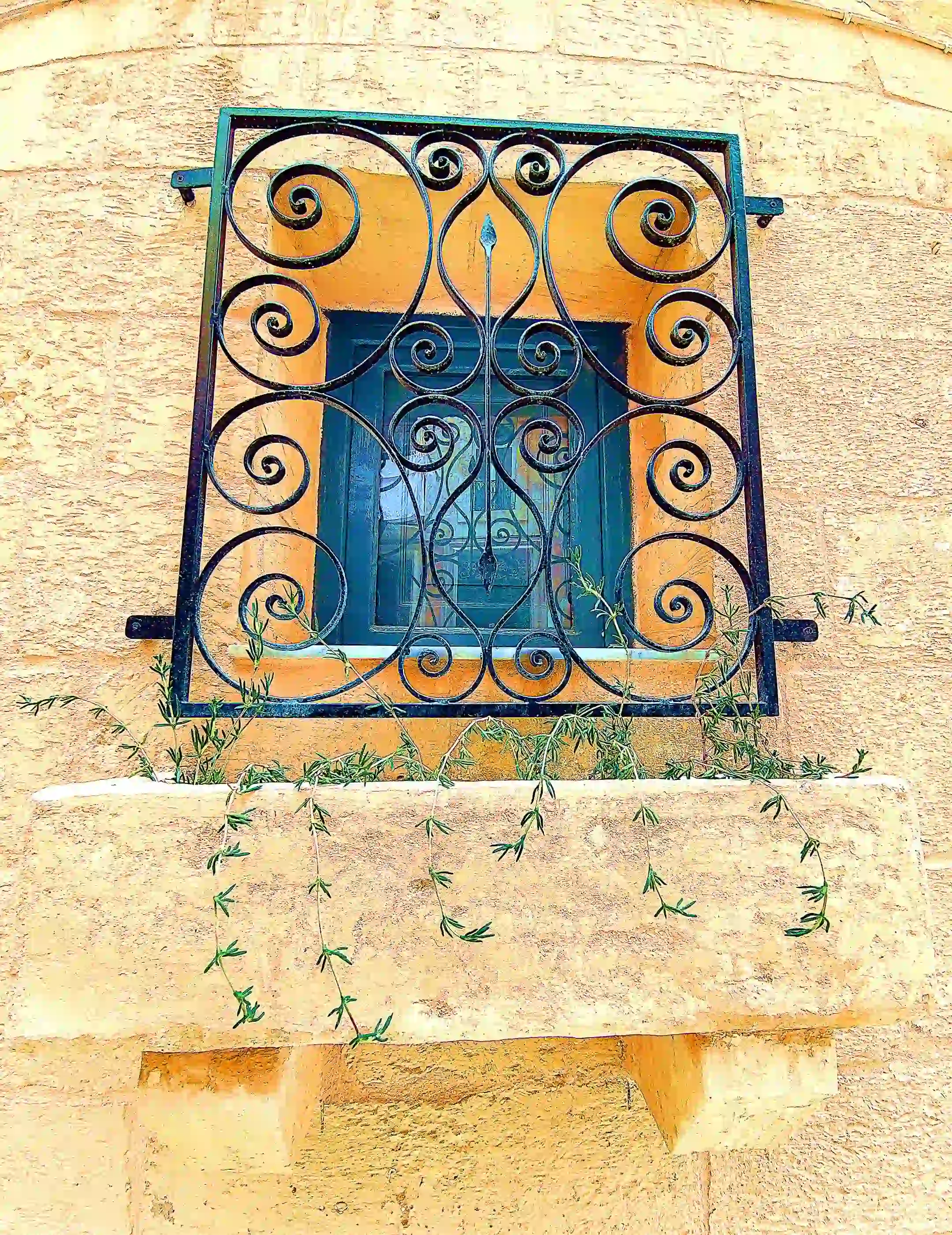 Window at Salt 54